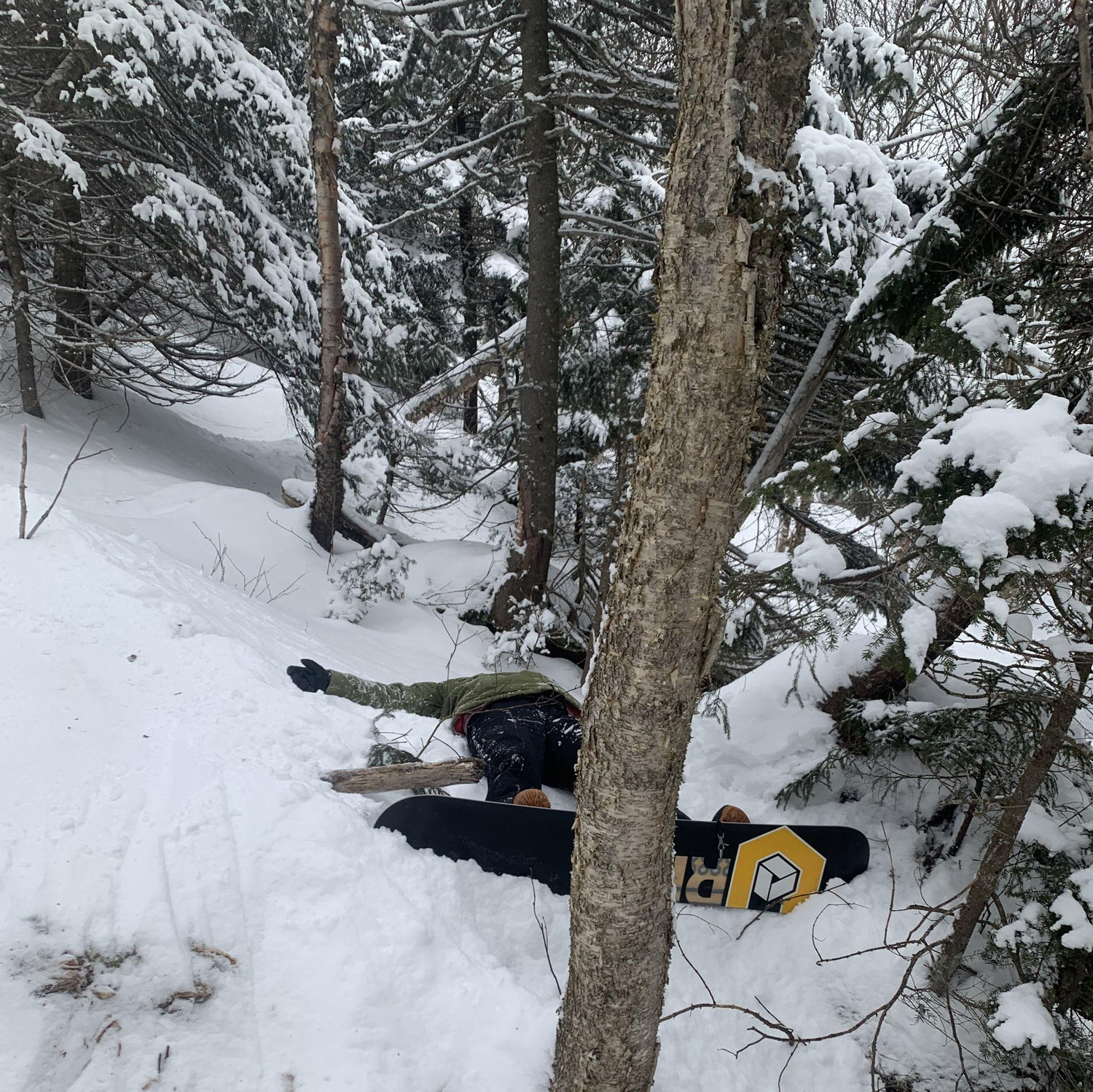 Tyler learning how to navigate the glades in VT