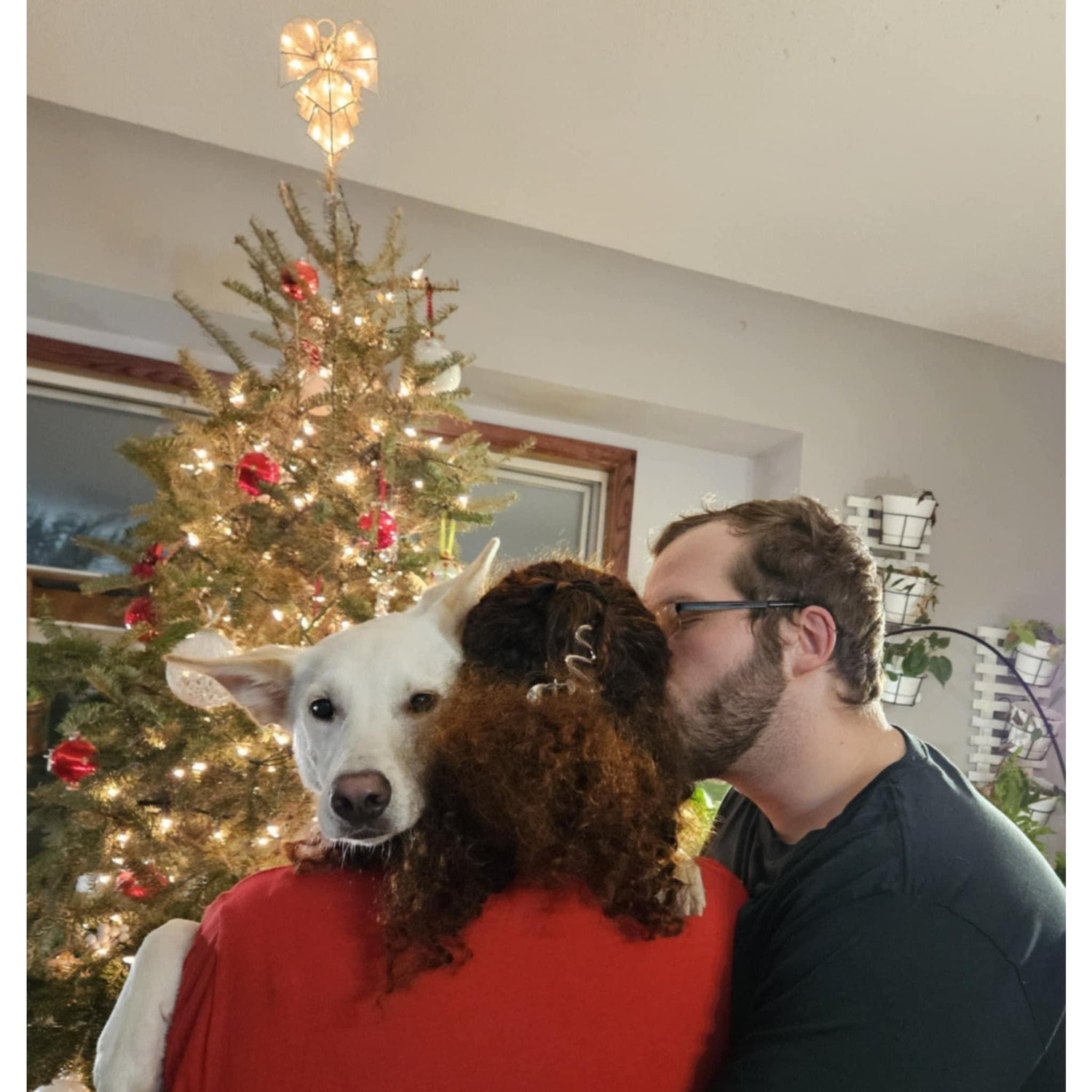 Christmas 2024