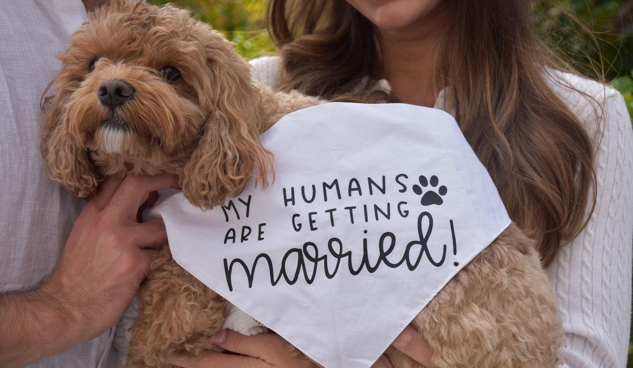 Hero Slideshow Image 5