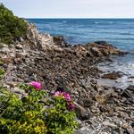 Cliff Walk
