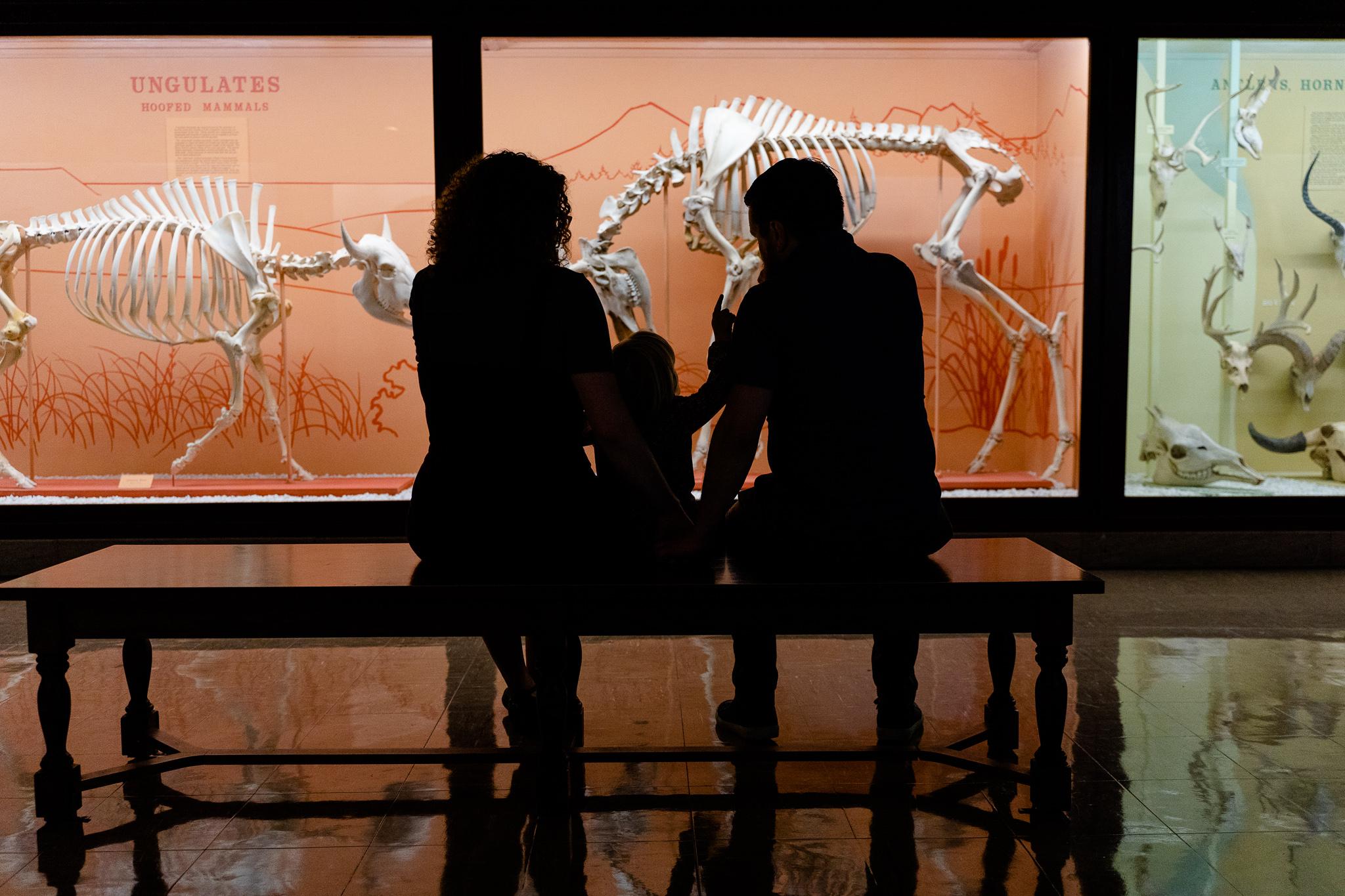 The Wedding Website of Kaitlin Schlotfelt and Andrew Kirkland