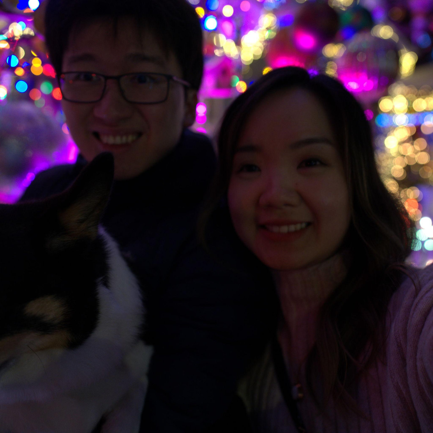 One of our holiday traditions: stroll down the Christmas Tree Lane with Oolong!