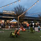 Halcyon