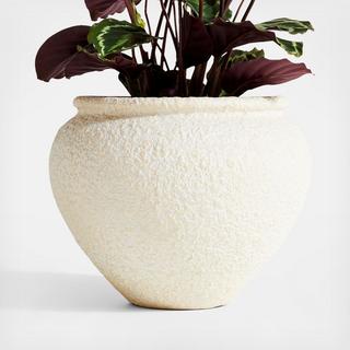 Ophelia Planter