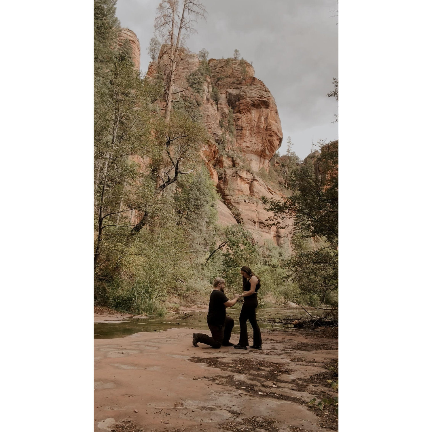 The Proposal
