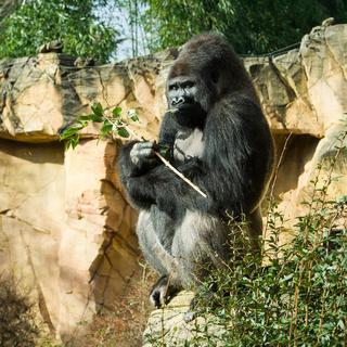 Amneville Zoo Tour for 2 - France