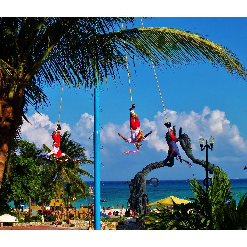 Find many daily and nightly performances at Parque Los Fundadores