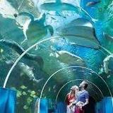 Cebu Ocean Park