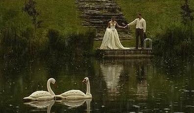 The Wedding Website of Madison Elise Halsey and Samuel James Livecchi