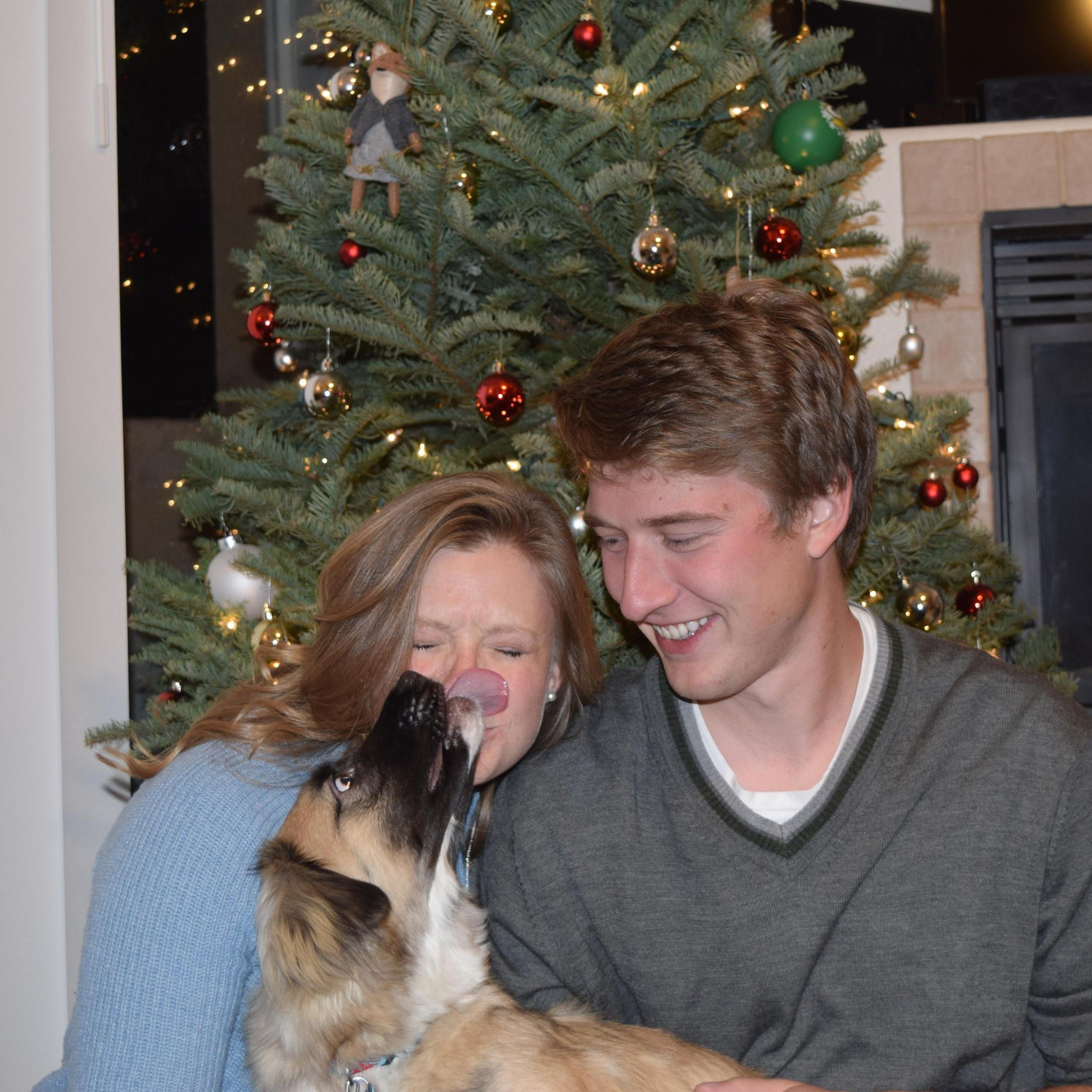 Pike's first Christmas. December 2016.
