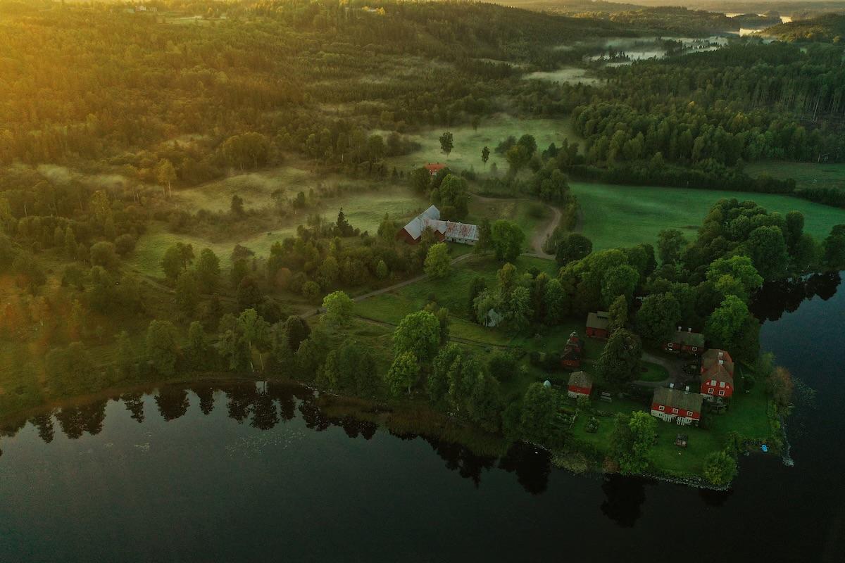 The Wedding Website of Milo Liau and Olivia McCue