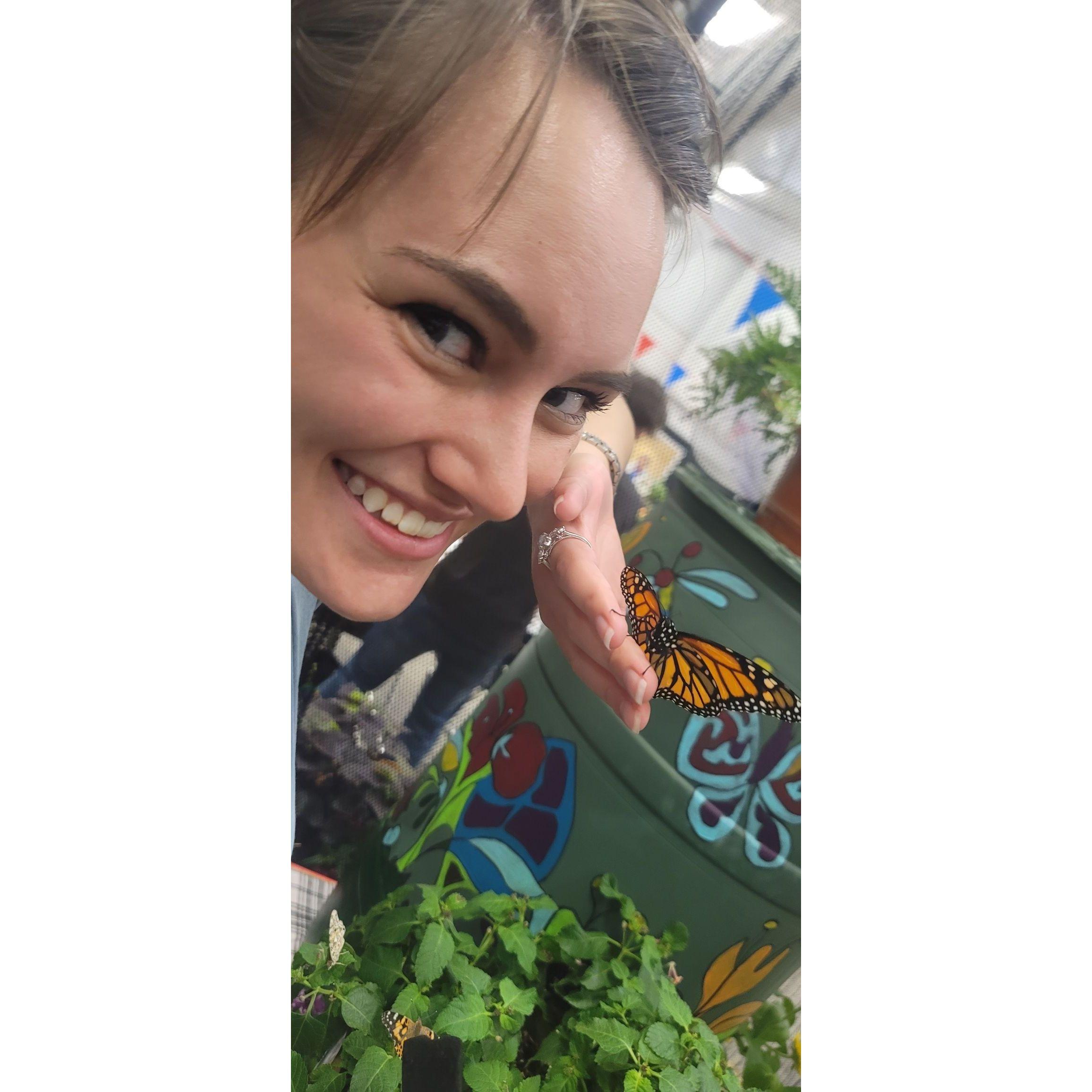 Visit to the butterfly habitat, September 2022