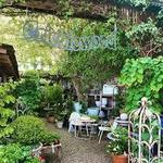Cricklewood Secret Garden
