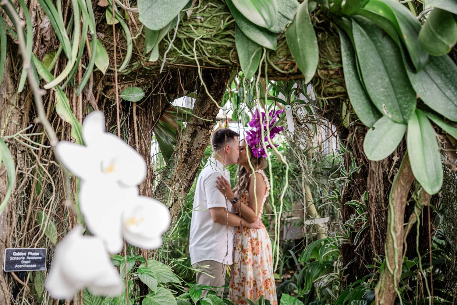 The Wedding Website of Brittney Champagne and Blake Forest