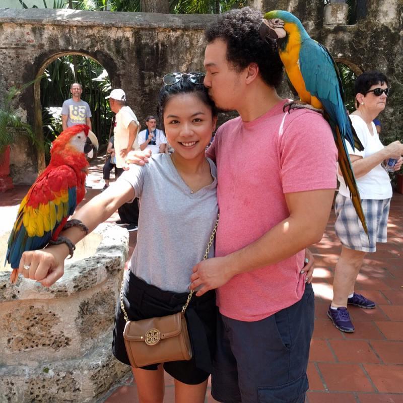 The time we challenged these love birds. Cartagena, Colombia, 2017.