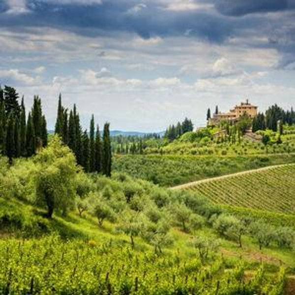 Wine Tour in Florence
