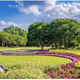 The Dallas Arboretum and Botanical Garden