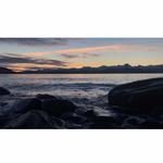 Search for Shells at Sunshine Cove