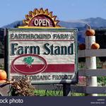 Earthbound Farm's Farm Stand