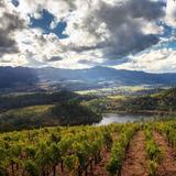 Napa