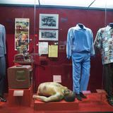 The Mob Museum