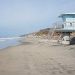 Torrey Pines State Beach