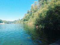Russian River