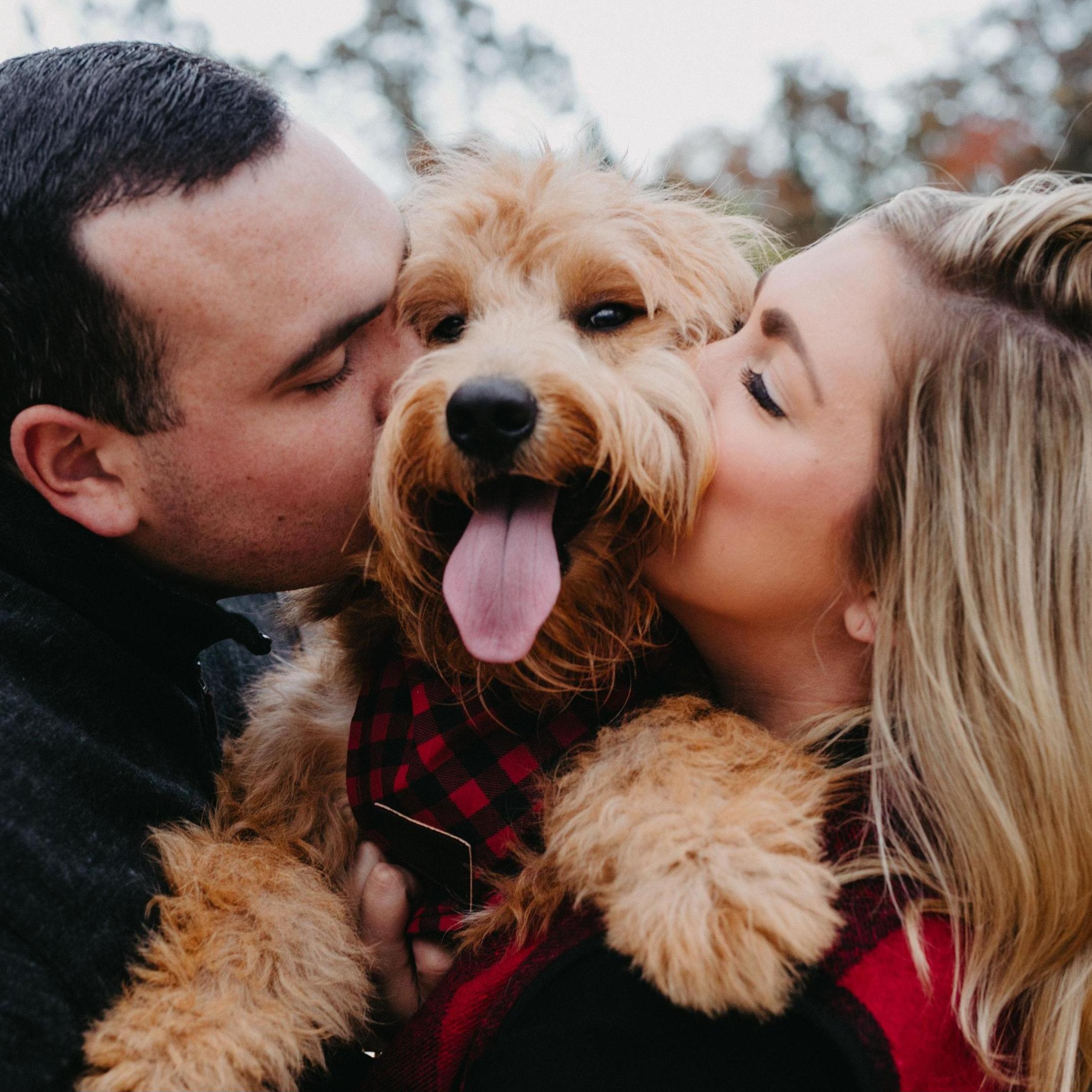 Our little guy, Gunner!