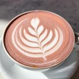 Phalcha Coffee