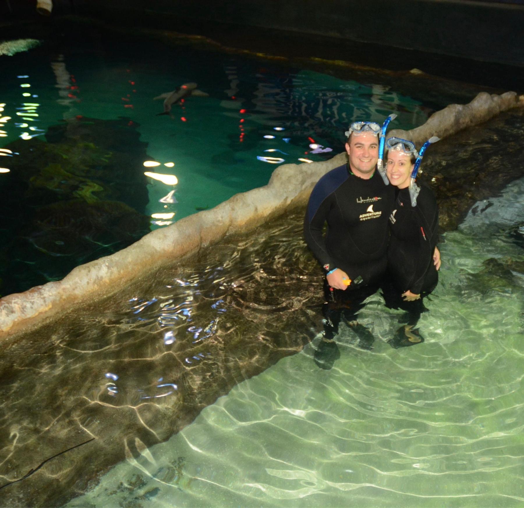 Swimming with the sharks!