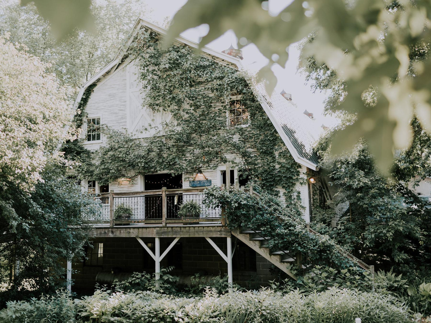 The Wedding Website of Ana Huaringa and Conor Ryan