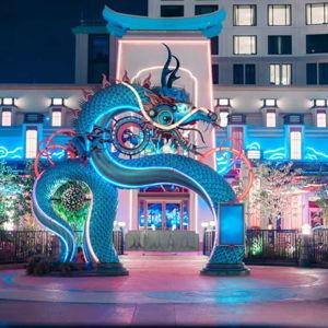 Dinner for Two at the Blue Dragon Restaurant