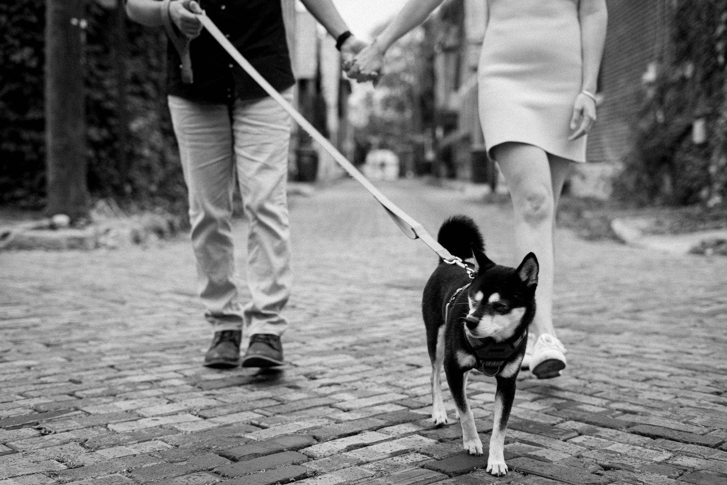 The Wedding Website of Troy Kelleher and Stephanie Snyder