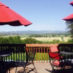 Woodenhead Wines