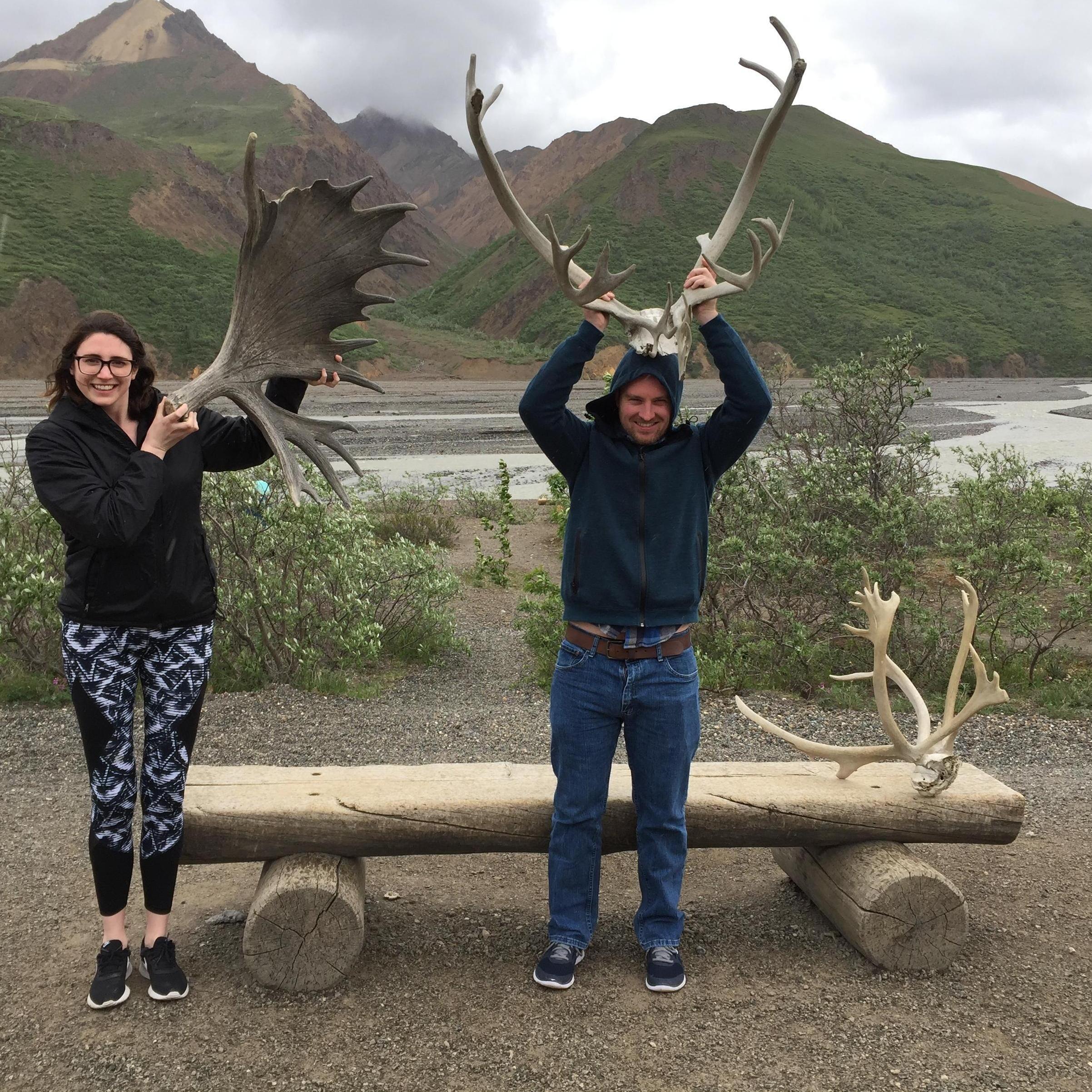 Just moosin' around in Alaska!