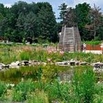 The Arboretum at Penn State