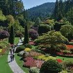 JC Raulston Arboretum