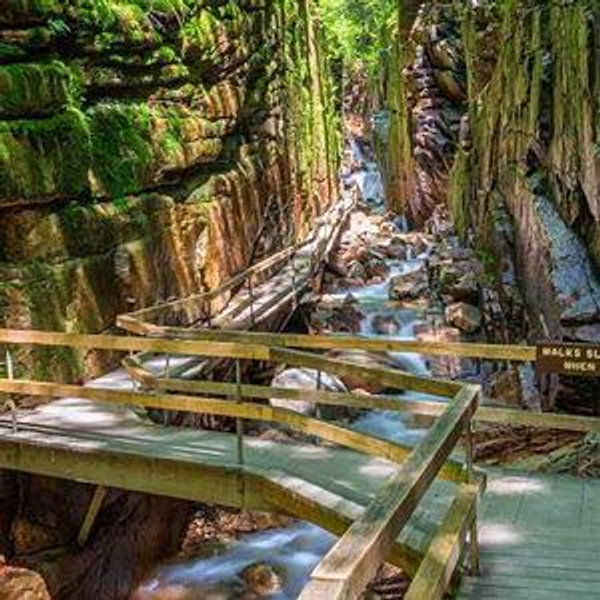 Honeymoon Fund - National Park Pass and State Park Day Passes