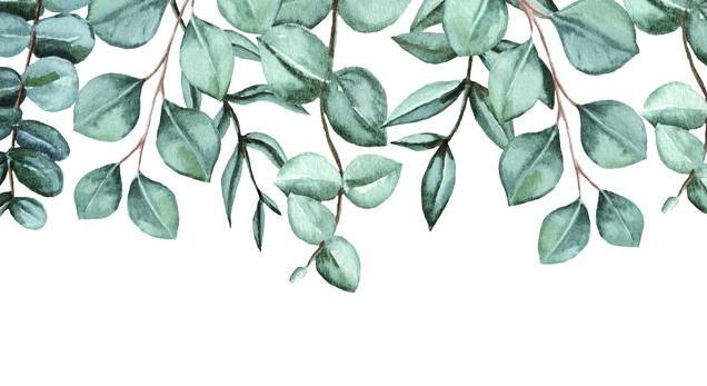 The Wedding Website of Marissa Prater and Derek Roth