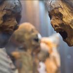 Museum of the Mummies of Guanajuato