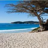 Carmel Beach