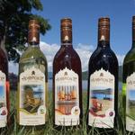 Adirondack Winery Lake George Tasting Room
