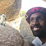 Boulders Beach