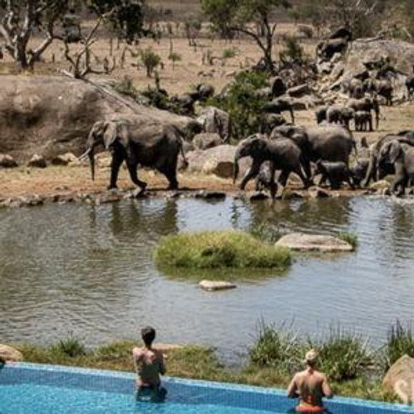 Overnight stay at Serena lodge Tanzania