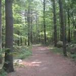 F. Gilbert Hills State Forest