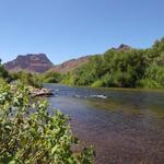 Phon D Sutton Recreation Area