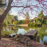 Mizumoto Japanese Stroll Garden