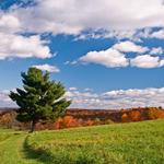 Burger Hill Park
