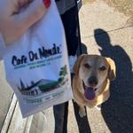 Café Du Monde