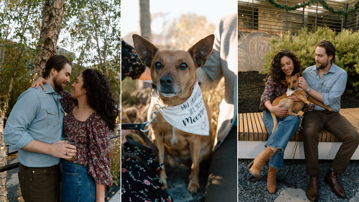 The Wedding Website of Mollie Pett and Jordan Peponis